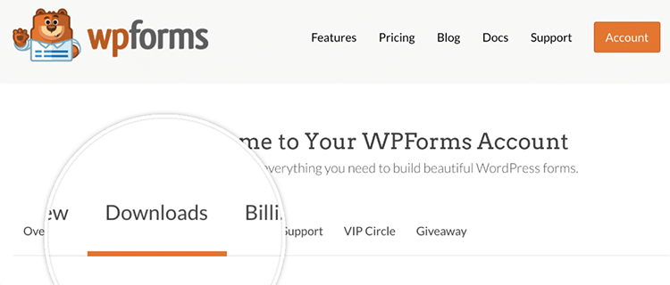 downloads tab in wpforms